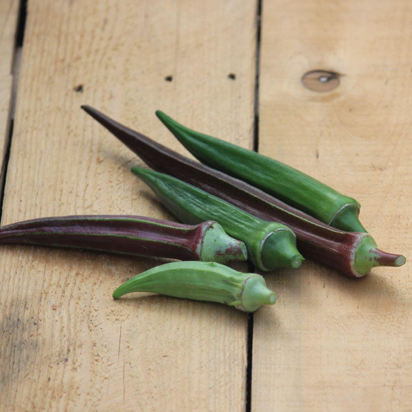 Produktfoto zu Piluweri Okraschoten