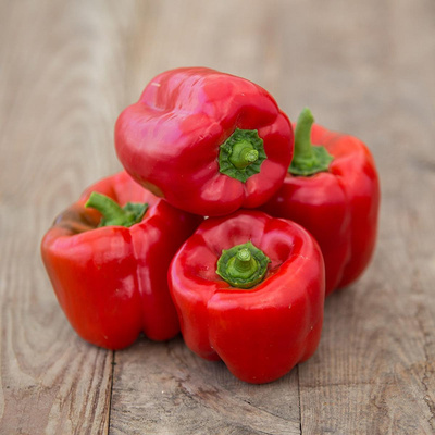 Produktfoto zu Rote Paprika