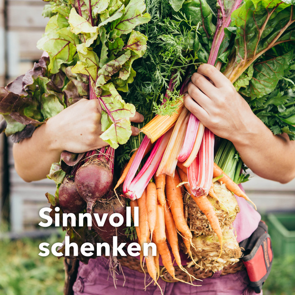 KI generiert: Hände halten frisches Gemüse. Text: "Sinnvoll schenken".