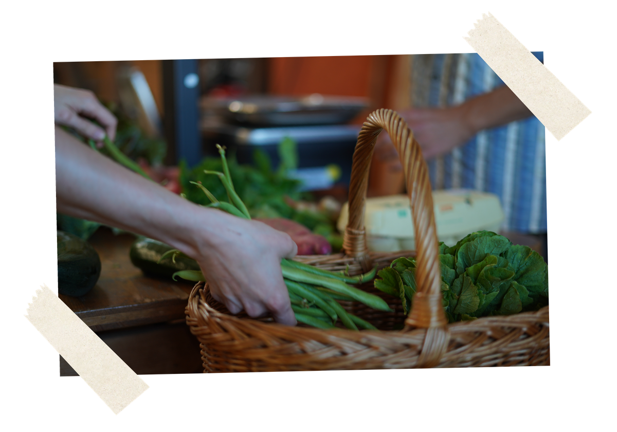 KI generiert: Ein Korb mit frischem Gemüse, das von einer Person sortiert wird.