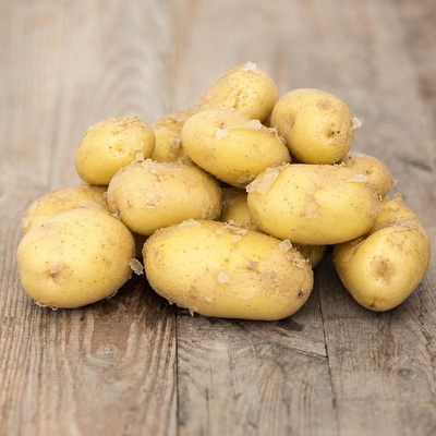 Produktfoto zu Vorwiegend festkochende Frühkartoffeln 12,5 kg-Kiste
