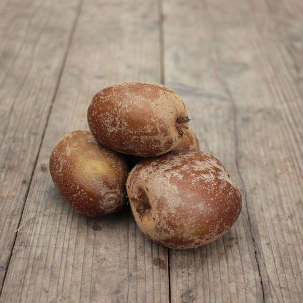Produktfoto zu Goldene Kiwi "Soreli"