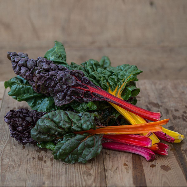 Produktfoto zu Bunter Mangold