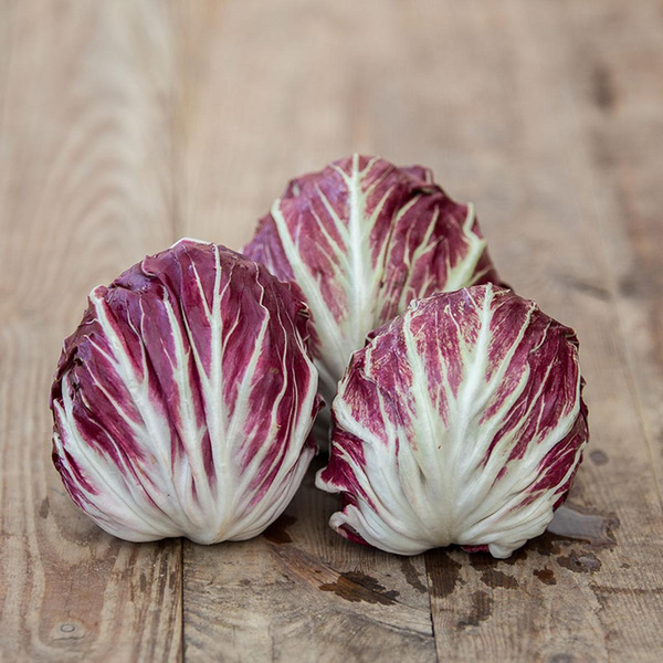 Produktfoto zu Radicchio