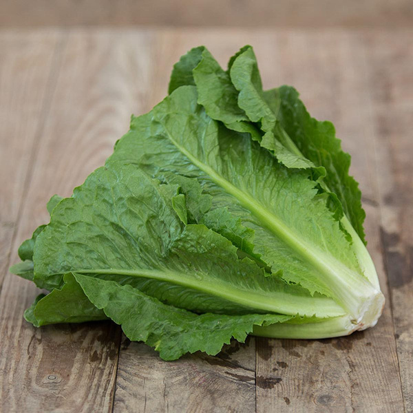 Produktfoto zu Unperfekter Romanasalat