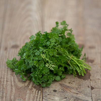 Produktfoto zu Koriander
