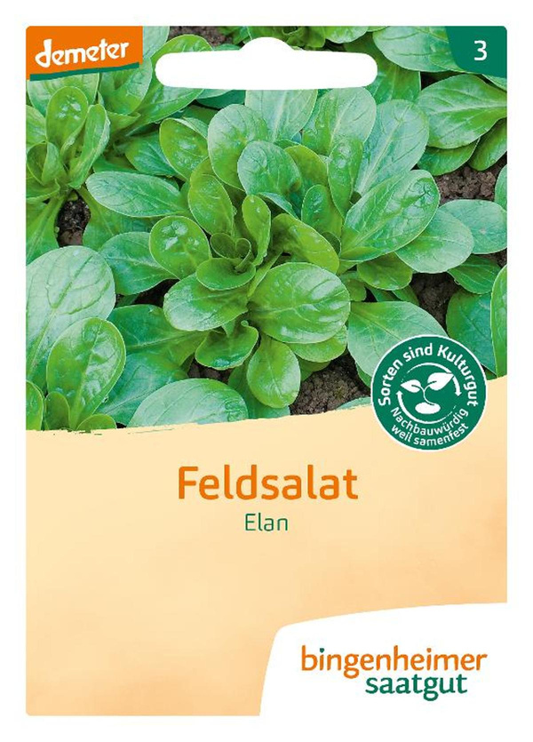 Produktfoto zu Feldsalat