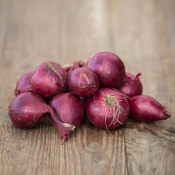 Produktfoto zu Rote Zwiebeln