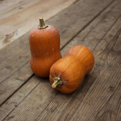 Produktfoto zu Kürbisse "Honeynut"