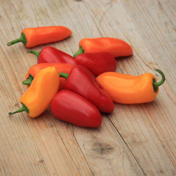 Produktfoto zu Snackpaprika