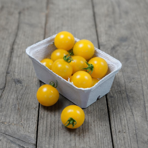 Produktfoto zu Gelbe Cherrytomaten