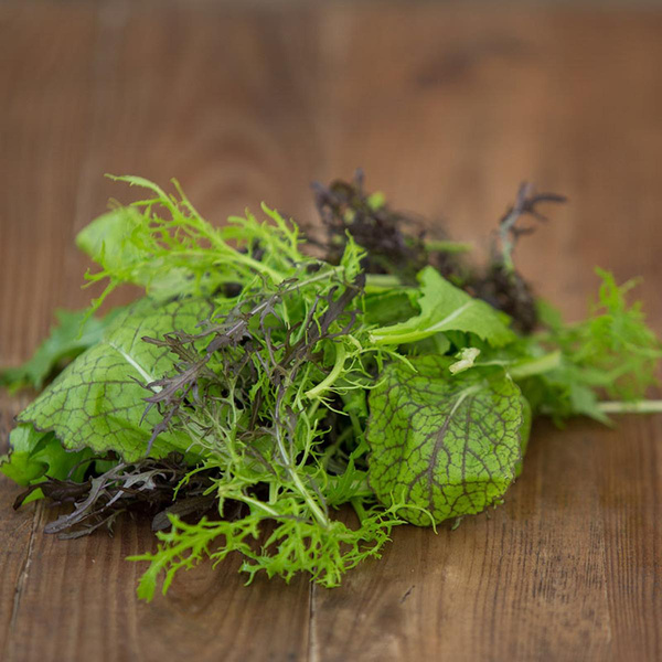 Produktfoto zu Schnittsalat "Asia Power Mix"