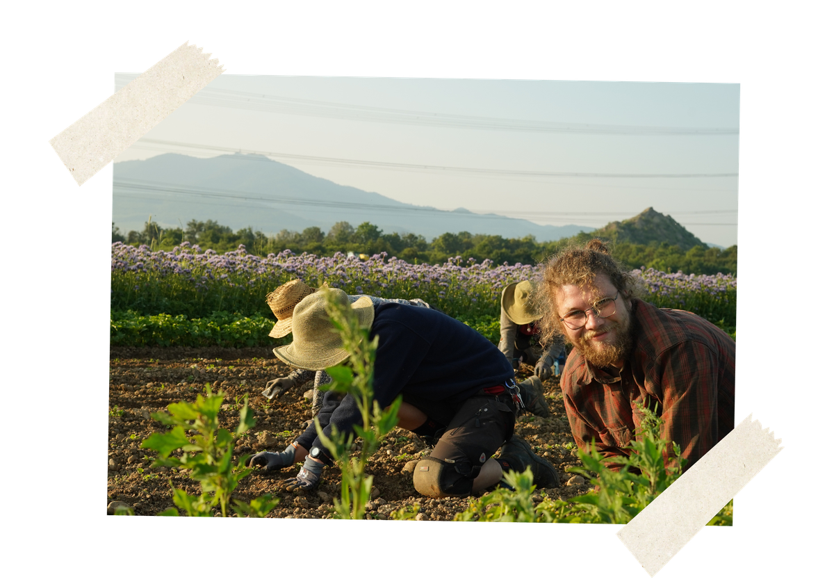 KI generiert: Personen arbeiten auf einem Feld, mit Bergen im Hintergrund.