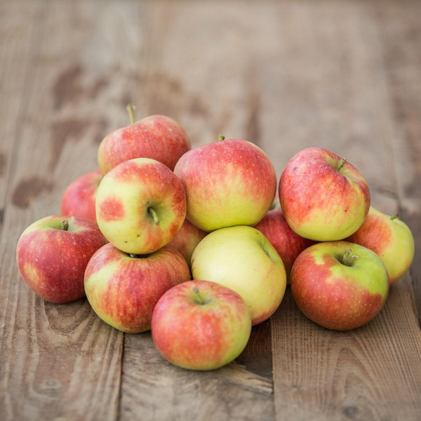 Produktfoto zu Unperfekte Äpfel 9 kg-Kiste