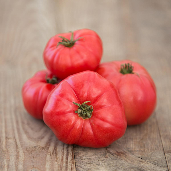 Produktfoto zu Fleischtomaten "Rosa"