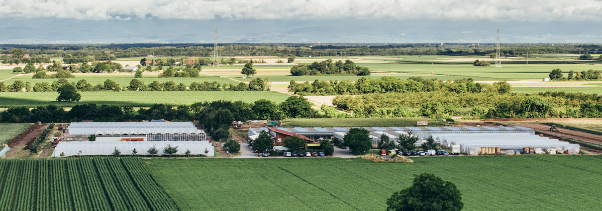 Gärtnerei Piluweri von oben