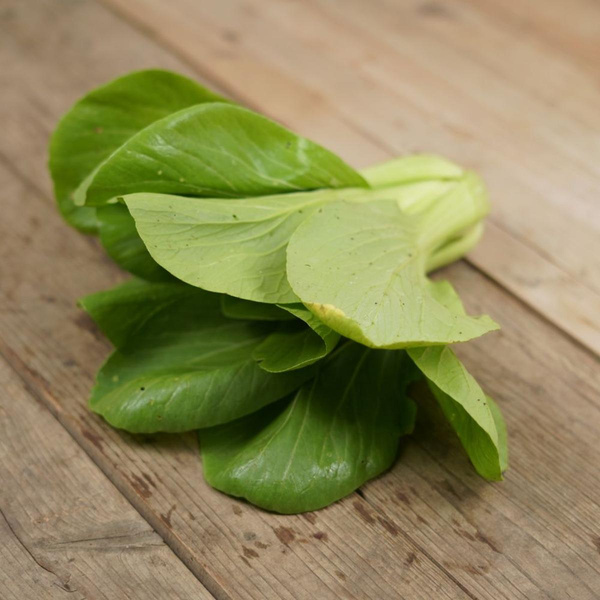 Produktfoto zu Pak Choi